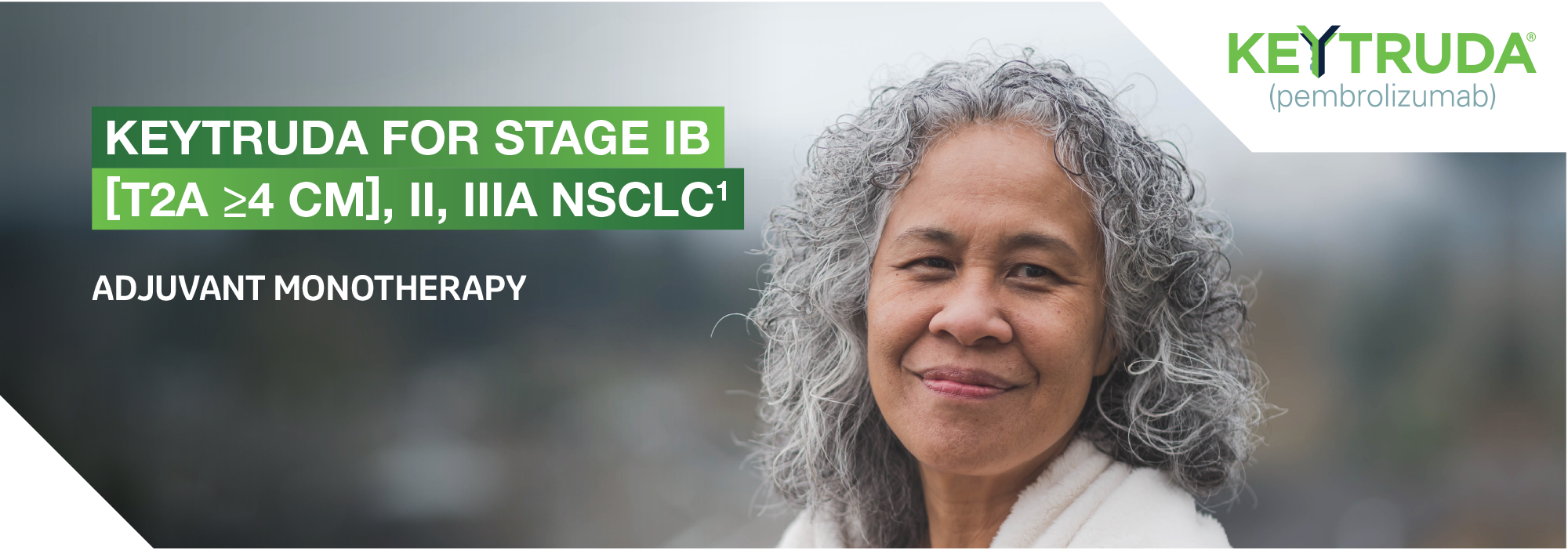 Header image on a subpage of the MSD lung cancer resource hub website. Image is of a hypothetical female patient with the text: KEYTRUDA for Stage IB (T2a ≥4 cm), II or IIIA NSCLC: adjuvant monotherapy.